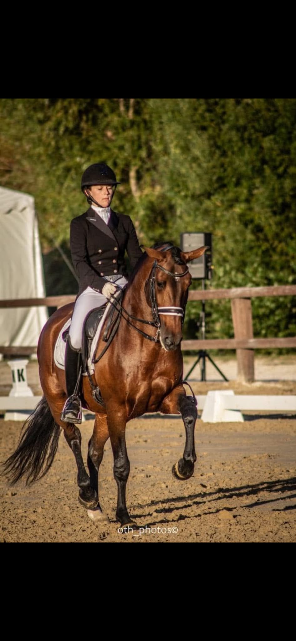 Séquence de dressage équestre observée et commentée